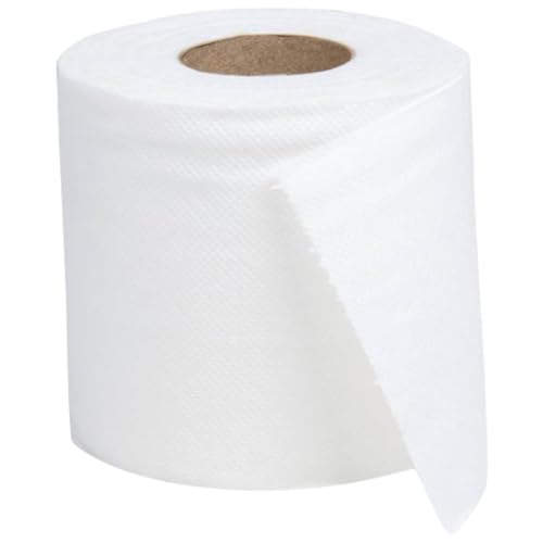 64 Toilettenpapierrollen SET, Rolle je 27,5m, 2-lagig, Recyclingpapier, hochweiß, saugfix, 16.000 Blatt, 9,5 x 11 cm von Blanc HYGIENIC