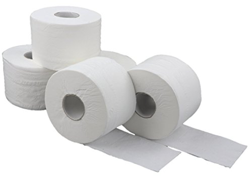 Blanc HYGIENIC Toilettenpapier SMART-Maxi – Set mit 24x Rollen à 75 m, 2-lagig, Klopapierrolle für Toilettenpapier-Spender, Weiß von Blanc HYGIENIC