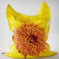 Riesen Kissen Sitzsack Xxl 140 X 180cm | 55 71 Zoll. Ein Echter Eyecatcher Wähle Outdoor Oder Indoor. Dein Lieblingsmotiv von BlanchesWelt