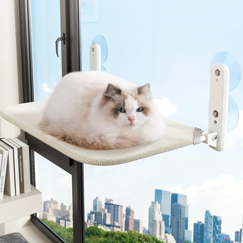 Blanketswarm Kleine Katzenfenster-Sitzstange, Katzenfenster-Hängematte für die Wand mit 44,1 Pfund Tragfähigkeit und 4 Starken Saugnäpfen, für Enge Räume, Faltbare Katzenfenster-Sitzstange von Blanketswarm