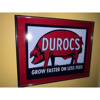 Duroc's Hog Schweinefutterladen Scheune Farm Bauer Garage Bar Gerahmter Werbedruck Mann Höhle Schild von BlastsFromThePast21