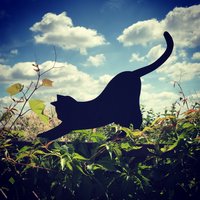 Schwarze Katze - Mizia Schwarze Katze - Mizia von BlaszanyKot