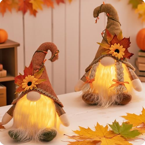 2 Stück Herbstdeko Wichtel, Herbstdeko Wichtel mit LED Licht 2 Stück Herbst Zwerg Plüsch das Erntedankfest, wichtel Herbst Dekoration für Urlaubsdekorationen, geeignet für Kaminsimse, Tischdekoration 2 Stück Herbstdeko Wichtel, Herbstdeko Wichtel mit LED Licht 2 Stück Herbst Zwerg Plüsch das Erntedankfest, wichtel Herbst Dekoration für Urlaubsdekorationen, geeignet für Kaminsimse, Tischdekoration von BlauHaus