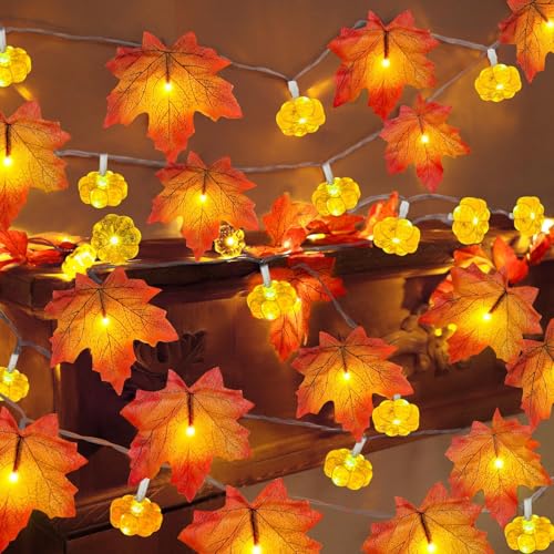 BlauHaus Herbstdeko Lichterkette, Herbstliche Kürbis-Ahornblatt-Lichterkette, 6M 40 LED Licht, Ip44 Wetterfest, FüR Ihre Herbstlichen Feiern Und Dekorationen BlauHaus Herbstdeko Lichterkette, Herbstliche Kürbis-Ahornblatt-Lichterkette, 6M 40 LED Licht, Ip44 Wetterfest, FüR Ihre Herbstlichen Feiern Und Dekorationen von BlauHaus