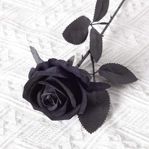 Blausky 5 Stück Künstliche Rosen aus Flanell,51 cm Single Long Stem Fake Rose,Realistische Blume,Ewige Blumen,Brautstrauß,Kunstblumen Rosen,für Hausgarten Party Hotel Büro Dekor,Ganz Schwarz Blausky 5 Stück Künstliche Rosen aus Flanell,51 cm Single Long Stem Fake Rose,Realistische Blume,Ewige Blumen,Brautstrauß,Kunstblumen Rosen,für Hausgarten Party Hotel Büro Dekor,Ganz Schwarz von Blausky