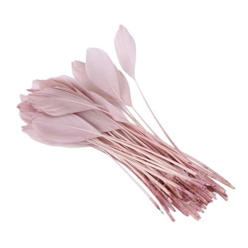 Blausky 50 Stück Gänsefedern 15-20 cm,Bastelfedern Natur,Lang Federn zum Basteln und Dekoration,Indianer Federn Naturfedern für DIY Traumfänger,Hochzeit,Party,Karneval Kostüm Masken,Dunkelrosa Blausky 50 Stück Gänsefedern 15-20 cm,Bastelfedern Natur,Lang Federn zum Basteln und Dekoration,Indianer Federn Naturfedern für DIY Traumfänger,Hochzeit,Party,Karneval Kostüm Masken,Dunkelrosa von Blausky