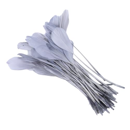 Blausky 50 Stück Gänsefedern 15-20 cm,Bastelfedern Natur,Lang Federn zum Basteln und Dekoration,Indianer Federn Naturfedern für DIY Traumfänger,Hochzeit,Party,Karneval Kostüm Masken,Grau Blausky 50 Stück Gänsefedern 15-20 cm,Bastelfedern Natur,Lang Federn zum Basteln und Dekoration,Indianer Federn Naturfedern für DIY Traumfänger,Hochzeit,Party,Karneval Kostüm Masken,Grau von Blausky