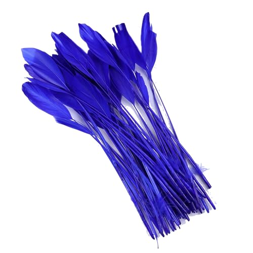 Blausky 50 Stück Gänsefedern 15-20 cm,Bastelfedern Natur,Lang Federn zum Basteln und Dekoration,Indianer Federn Naturfedern für DIY Traumfänger,Hochzeit,Party,Karneval Kostüm Masken,Königsblau Blausky 50 Stück Gänsefedern 15-20 cm,Bastelfedern Natur,Lang Federn zum Basteln und Dekoration,Indianer Federn Naturfedern für DIY Traumfänger,Hochzeit,Party,Karneval Kostüm Masken,Königsblau von Blausky