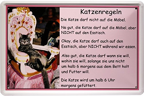 Blechschild Katze Cats Spruch Katzenregeln 20 x 30cm Reklame Retro Blech 1256 von WOGEKA ART