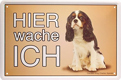 Hier wache ich Cavalier King Charles Spaniel Hund Dog 20x30 cm Blechschild 1557 von Blechschild 20 x 30 cm