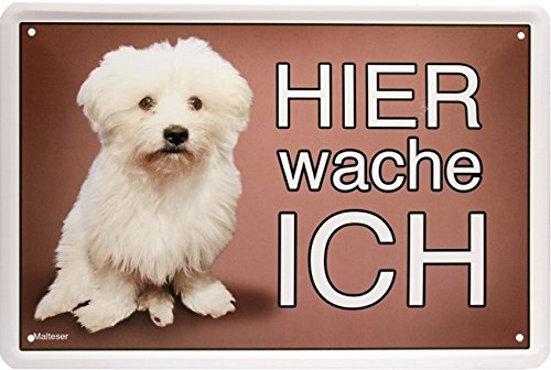 Hier wache ich - Malteser - Hund Dog 20x30 cm Blechschild 1566 von Blechschild 20 x 30 cm
