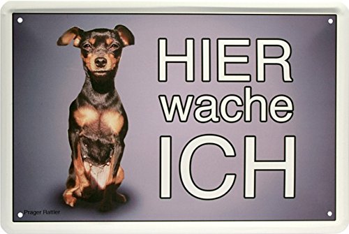 Hier wache ich - Prager Rattler - Hund Dog 20x30 cm Blechschild 1551 von Blechschild 20 x 30 cm