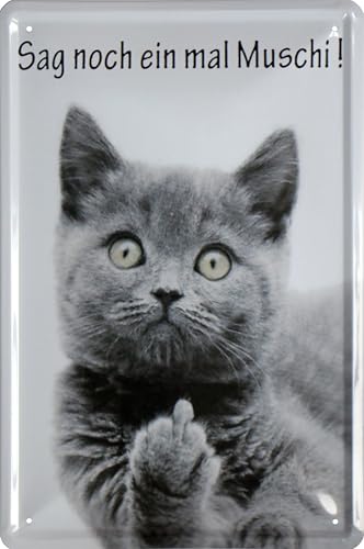 WOGEKA ART Retro Blechschild - Sag noch einmal Muschi Katze - witziger Spruch als Geschenk-Idee zum Geburtstag Weihnachten zur Dekoration 20x30 cm Vintage-Design aus Metall 1010 WOGEKA ART Retro Blechschild - Sag noch einmal Muschi Katze - witziger Spruch als Geschenk-Idee zum Geburtstag Weihnachten zur Dekoration 20x30 cm Vintage-Design aus Metall 1010 von WOGEKA ART