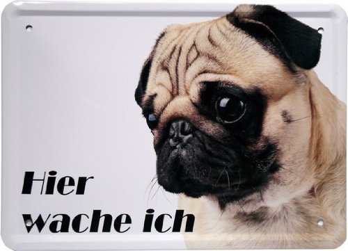 WOGEKA ART Retro Blechschild - Mops - hier wache ich - witziger Spruch als Geschenk-Idee zum Geburtstag Weihnachten zur Dekoration 15x21 cm Vintage-Design aus Metall MJ 24 von WOGEKA ART