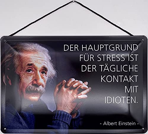 Blechschild mit Kordel 30 x 20 cm Albert Einstein: Der Hauptgrund für Stress ist der tägliche Kontakt mit Idioten. - Blechemma von Blechschild