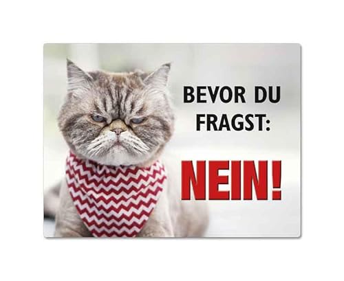 Magnet - Katze - Bevor DU FRAGST Nein! - MN41 Kühlschrankmagnet 3D von Blechwaren Fabrik Braunschweig GmbH