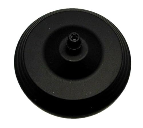 Schwarze Metallblume, perfekt, um die Eleganz Ihrer Räume zu unterstreichen. Das robuste und attraktive Design macht es ideal für die Dekoration jedes Hauses oder Büros. von Blendend