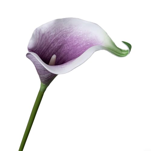 BlesConi 5-teiliges künstliches Calla-Lilien-Blumenstrauß-Set für lebendige Heimdekoration, Hochzeiten oder Partys (halbviolett) von BlesConi