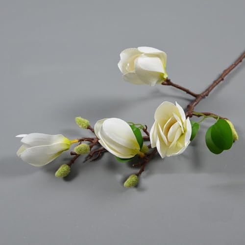 BlesConi Dekorativer künstlicher Blumenzweig mit vier Magnolienköpfen und Orchidee, aus Seide und Kunststoff, geeignet für Zuhause, Büro und Hochzeitsdekoration (weiß) von BlesConi