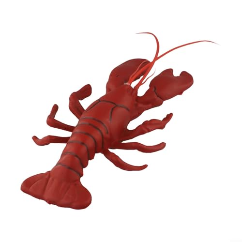 Dekoratives Hummer-Modell, Küchen-Display, Requisiten, Restaurant, Tisch, Tafelaufsatz, Marine-Thema, Heimdekoration, rot, 36 cm Dekoratives Hummer-Modell, Küchen-Display, Requisiten, Restaurant, Tisch, Tafelaufsatz, Marine-Thema, Heimdekoration, rot, 36 cm von BlesConi