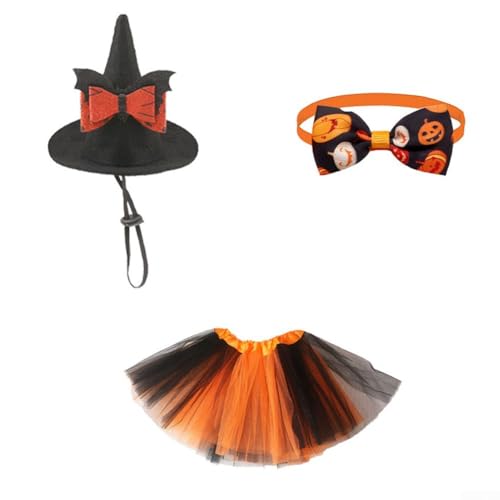 Halloween-Kostüm-Set mit Hexenhut, Rock und Besen, entworfen für bequeme Passform und Verwendung auf Partys und Veranstaltungen Halloween-Kostüm-Set mit Hexenhut, Rock und Besen, entworfen für bequeme Passform und Verwendung auf Partys und Veranstaltungen von BlesConi