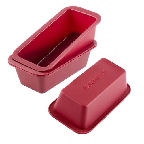 Silikon Mini Laib Pfanne Set von 4, NonStick Easy Release Rechteck Silikon Mini Kuchen Pfanne zum Backen von Brot, Flexible BPA freie Silione Backform und Brot Form, Toast Pfanne, Brownie Laib Pfanne, von BlessFly