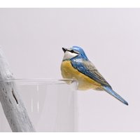 Meise Vogel Meise Vogel von BleuMediterranee