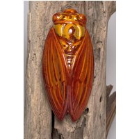 Zikade 4 von BleuMediterranee