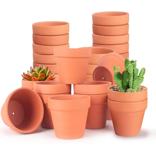BlinBlin Packung mit 20 Kleinen Blumentöpfen Aus Ton, Wiederverwendbarer 4,8 x 4 cm Großer Blumentopf Aus Ton, Blumentopf Aus Ton mit Ablaufloch, Sukkulente Blumentöpfe Aus Ton Für das Kinderzimmer von BlinBlin