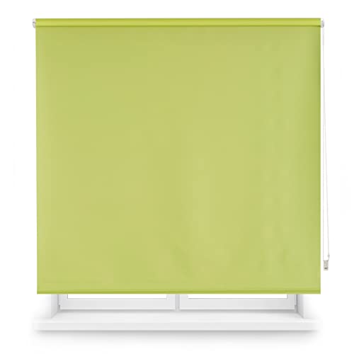 Blindecor Draco | Rollo verdunkelung - Pistaziengrün, 100 x 175 cm (BxH) | Stoffgröße 97 x 170 cm. Thermorollo für fenster von Blindecor