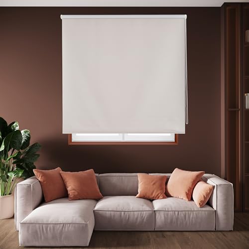 Blindecor Draco | Rollo verdunkelung - Silbergrau, 140 x 175 cm (BxH) | Stoffgröße 137 x 170 cm. Thermorollo für fenster von Blindecor