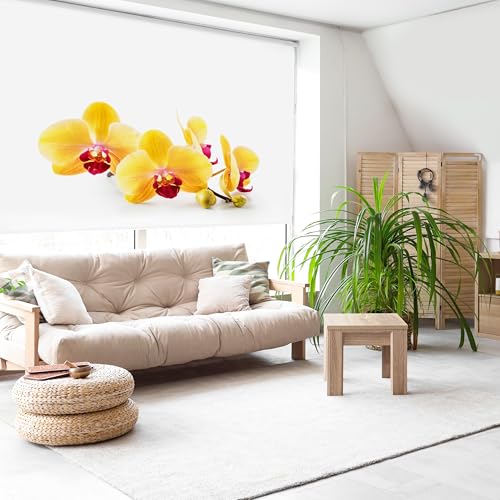 Blindecor Digital | Rollo durchscheinend Bedruckt | Familie Zen| Modell F-YELLOWORCHID | 170 x 180 cm (Breite x Höhe) | Stoffgröße 166 x 175 cm | Fensterrollos von Blindecor