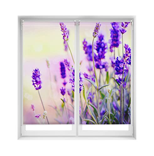 Blindecor Duo Relax Rollo mit 2 Stück, transparent, ohne Bohren, Easy Fix, Digitaldruck, Lavendel, 65 x 150 cm (B x H), Stoffgröße 63 x 145 cm von Blindecor