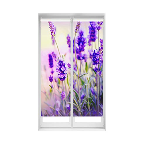 Blindecor Duo Relax Rollo mit 2 Stück, transparent, ohne Bohren, Easy Fix, Digitaldruck, Modell Lavendel, 45 x 150 cm (B x H), Stoffgröße 42 x 145 cm von Blindecor