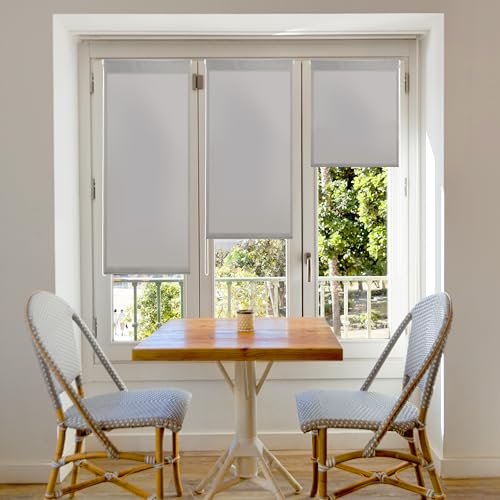 Blindecor Aure | Lichtdurchlässiges Rollos für Fenster und tür ohne bohren mit klämmträger - Silbergrau, 67 x 180 cm (BxH) | Stoffgröße 64 x 175 cm | rollo klemmfix lichtdurchlässig von Blindecor