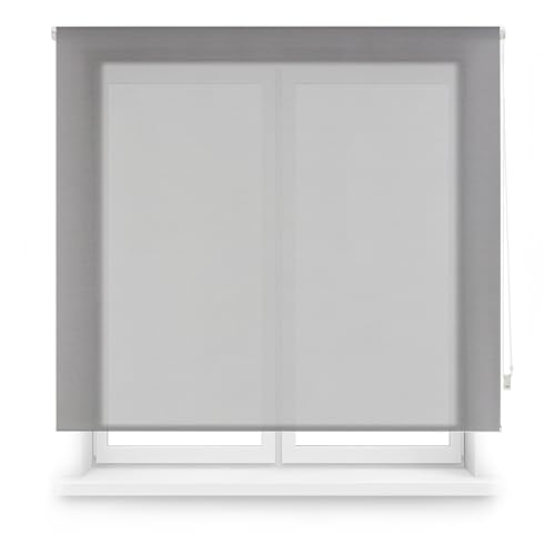 Blindecor Screen Premium Rollo nach Maß, Farbe Dunkelgrau, 155 x 240 cm (B x H), Stoffgröße 152 x 235 cm, Rollo mit 38 mm Rohr, robuster und eleganter von Blindecor