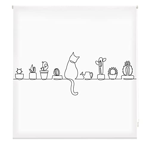 Blindecor Transparentes Rollo mit Digitaldruck für Küche, Katze, Rollo 170 x 180 cm (Breite x Höhe), Stoffgröße 167 x 175 cm, Digitaldruck von Blindecor