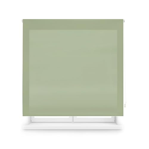 Blindecor Transparentes Rollo nach Maß, pastellgrün, 130 x 175 cm (Breite x Höhe), Stoffgröße 127 x 170 cm, lichtdurchlässiges Rollo für Fenster von Blindecor