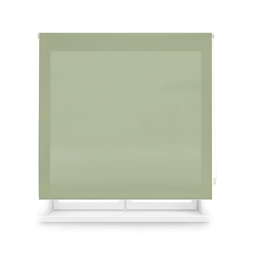 Blindecor Transparentes Rollo nach Maß | Rollo nach Maß | Pastellgrün | 125 x 175 cm (Breite x Höhe) Stoffgröße 122 x 170 cm | Durchscheinende Rollos für Fenster von Blindecor