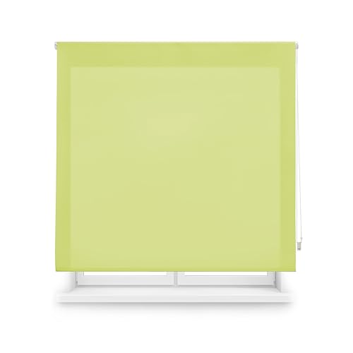 Blindecor Transparentes Rollo nach Maß | Rollo nach Maß | Pistazie Farbe | 80 x 250 cm (Breite x Höhe) Stoffgröße 77 x 245 cm | Durchscheinende Rollos für Fenster von Blindecor