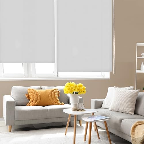 Blindecor Ara | Lichtdurchlässiges Rollo | Silbergrau | 100 x 175 cm (BxH) | Stoffgröße 97 x 170 cm | Rollos für fenster Blindecor Ara | Lichtdurchlässiges Rollo | Silbergrau | 100 x 175 cm (BxH) | Stoffgröße 97 x 170 cm | Rollos für fenster von Blindecor