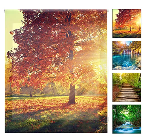 blindecor w-p-37235 – Rollo lichtdurchlässig, Digital, Bedruckt, 130 x 180 cm blindecor w-p-37235 – Rollo lichtdurchlässig, Digital, Bedruckt, 130 x 180 cm von Blindecor