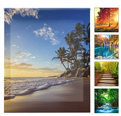 blindecor w-p-77231 – Rollo lichtdurchlässig, Digital, Bedruckt, 130 x 180 cm blindecor w-p-77231 – Rollo lichtdurchlässig, Digital, Bedruckt, 130 x 180 cm von Blindecor