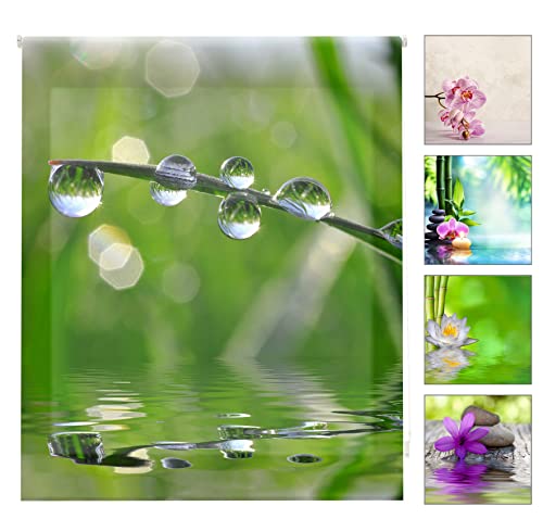 blindecor w-z-01287 – Rollo transparent, Bedruckt, Digital, 110 x 180 cm, Mehrfarbig blindecor w-z-01287 – Rollo transparent, Bedruckt, Digital, 110 x 180 cm, Mehrfarbig von Blindecor