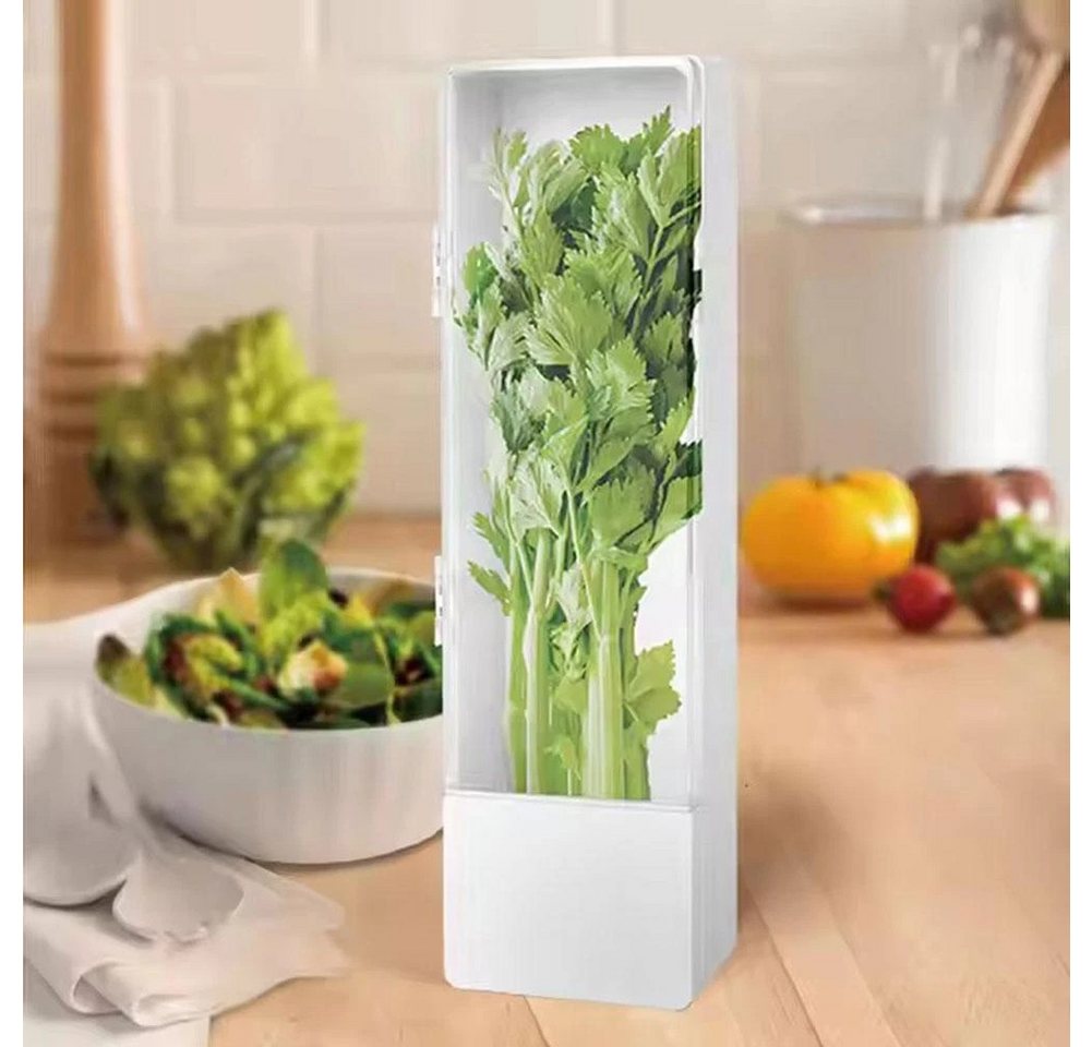 BlingBin Frischhaltedose Kräuterbehälter für Kühlschrank, Kräuter Aufbewahrungsbehälter, Kunststoff, (1er Ser, 1-tlg., 27 × 8,7 × 7,5 cm), Langfristige Frischekonservierung, Kräuteraufbewahrung für Koriander von BlingBin