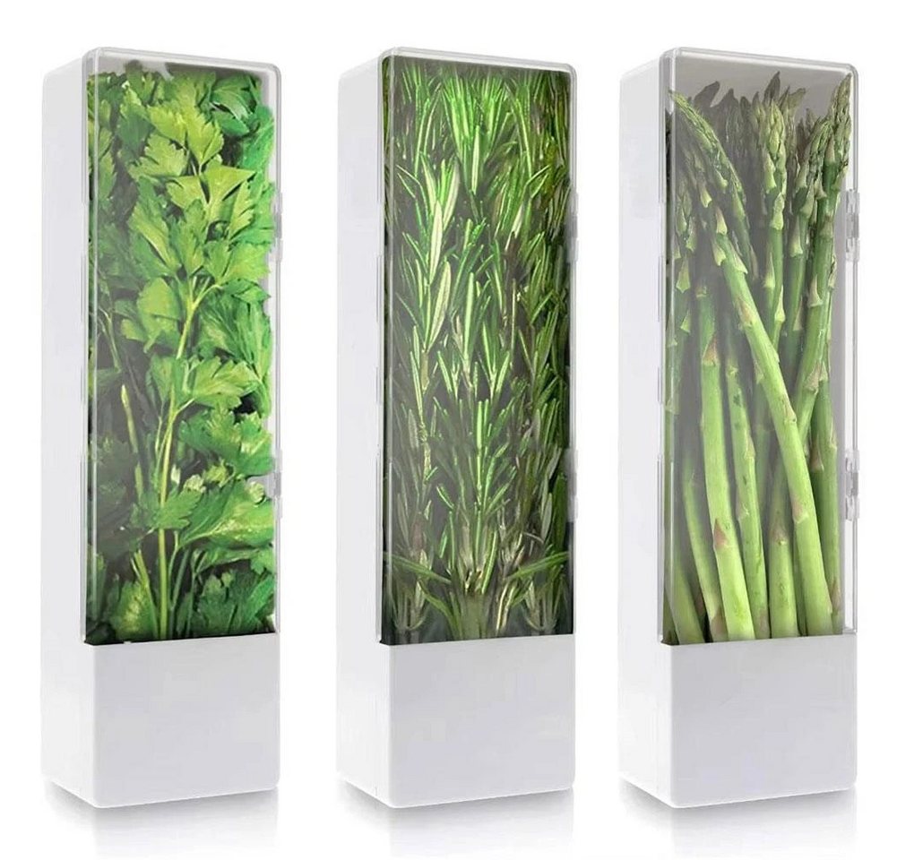 BlingBin Frischhaltedose Kräuterbehälter für Kühlschrank, Kräuter Aufbewahrungsbehälter, Kunststoff, (1er Ser, 3-tlg., 27 × 8,7 × 7,5 cm), Langfristige Frischekonservierung, Kräuteraufbewahrung für Koriander von BlingBin