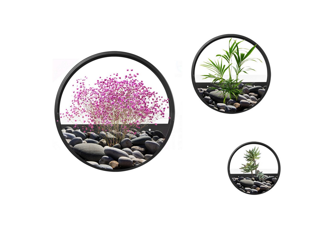 BlingBin Pflanzkübel 3er-Set Wand Pflanzgefäßen, Schwarz Acryl runder Glaswand-Pflanzgefäß (1er Set, 3 St., Blumentöpfe), Sukkulenten-Pflanzgefäß, für Kräuter, Zimmer und Terrasse, Dekoration von BlingBin