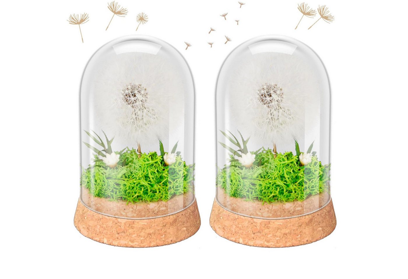 Trockenblume Wunscherfüller Pusteblume im Glas mit LED Licht, Abschiedsgeschenk Taraxacum mongolicum, BlingBin, Höhe 9 cm, Geburtstag, Valentinstag, Hochzeit, Muttertag, Weihnachten Geschenke von BlingBin
