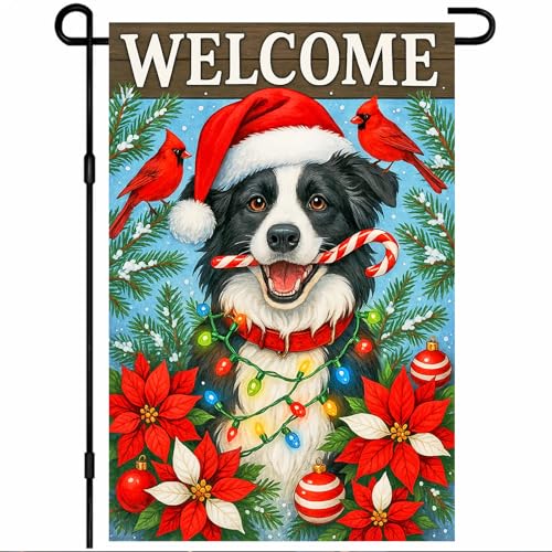 BlissYard Weihnachts-Gartenflagge, 30,5 x 45,7 cm, Willkommens-Bordüre Collie, Hund, Outdoor-Flagge, doppelseitig, Urlaubshof Banner mit Weihnachtsmannmütze, Zuckerstange und Lichtern für Veranda von BlissYard