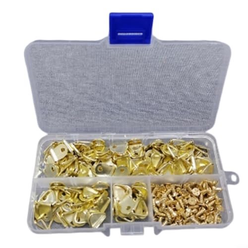 100 x dreieckige D-Ring-Haken mit Schrauben zum Aufhängen von Bildern, Postern und Uhren von BlissfulAbode